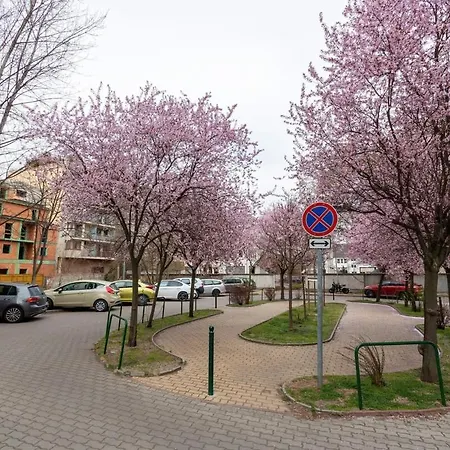 Balcony - New & Stylish Apartman *